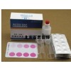 xt12147臭氧含氯试剂盒 0.05-1mg/l