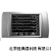 低應變儀/低應變計
