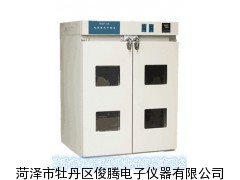 DGF電熱鼓風(fēng)干燥箱（雙開門設(shè)計(jì)）