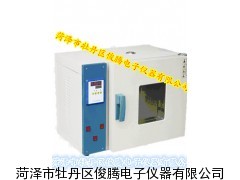 電熱鼓風(fēng)干燥箱(WG系列)