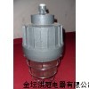 BAD72隔爆型防爆燈