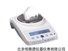 电子天平/电子天平/天平