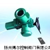 整体型阀门电动装置，智能型阀门电动装置，调节防爆电动头