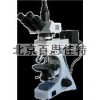 T三目偏光顯微鏡 xt51009
