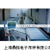 定量检重轨道电子称,600公斤带打印辊筒电子秤