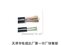 复合带总屏蔽聚氯乙烯护套计算机电缆DJYVP3