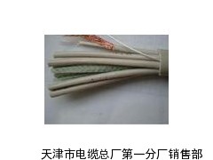 DJYVP(R)22阻燃铜芯软线