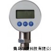 HCP-DS5000数字压力表