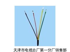 消防对讲电话线ZAN-RVVP-2×1.5mm2