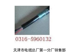 视频线ZAN-SYV-75-7