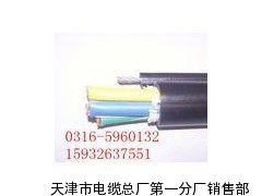 电源线DWZR-YJY32 3 ×10