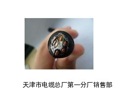 KYP3VP3聚氯乙烯护套仪表用屏蔽电缆