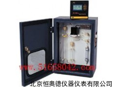 氢分析仪（分体）  SYS-EN-610