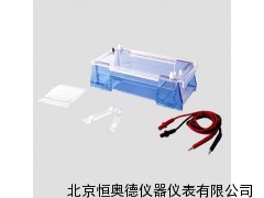 琼脂糖水平电泳仪/琼脂糖水平电泳槽
