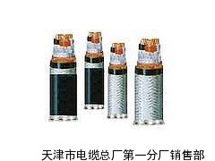 KVPVP22阻燃铠装电缆