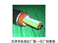 HYPV22 2x1.5氟塑料防腐软电缆