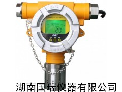 廣東廣西國(guó)瑞儀器甲烷檢測(cè)報(bào)警器