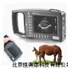 兽用B超 猪用B超 妊娠诊断仪 测孕仪 VD-2000AV