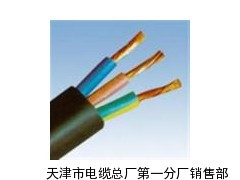 HYA 53 600×2×0.5高温耐腐电缆