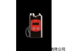 硫化氢检测仪/便携式硫化氢检测仪