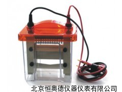 迷你垂直电泳仪 垂直电泳仪 电泳仪
