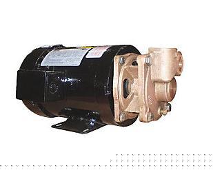 一级经销美国DAYTON离心泵