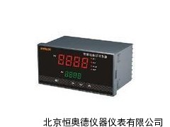 智能显示控制仪/数显表   HAD-XMZ605