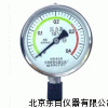 WJ6-YWF100 耐腐蚀耐高温压力表