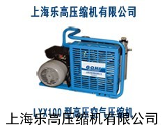 LYX100迷你型潛水呼吸高壓空氣壓縮機(jī)