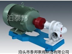 泊泰邦高压渣油泵,齿轮式渣油泵小型油泵