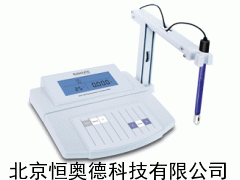 微機(jī)型電導(dǎo)率儀 臺(tái)式電導(dǎo)率儀 BT-DDS-12DW