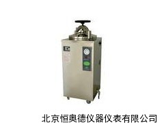 立式压力蒸汽灭菌器 蒸汽灭菌器 (外循环下排式)