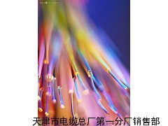 HJVV 42×0.5高温控制电缆