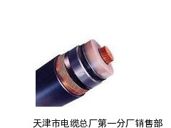 PZV  增強(qiáng)信號(hào)線