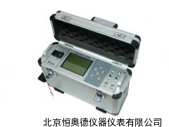 便携红外煤气分析仪/便携式煤气(五组分）分析仪