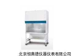 A2型二生物安柜/二生物安柜/生物安柜