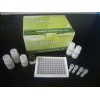 大鼠免疫球蛋白G3（IgG3）ELISA Kit 