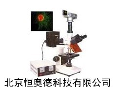 HAD-DFM-30D  正置荧光显微镜
