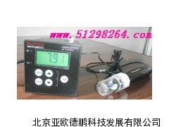 在线PH计  DPPH2012