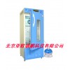 药物稳定性试验箱/试验箱 DP-150-Y