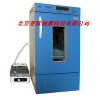 霉菌培养箱（带加湿功能） DP-150-MS