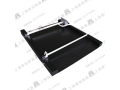 血透析不锈钢轮椅秤/200KG轮椅体重称/带扶手轮椅电子磅秤