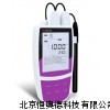 攜帶型氯離子計 氯離子檢測儀 HAD-Bante321-CL
