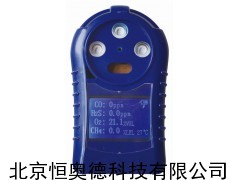 LTS1-CD4 多参数气体测定器