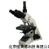 三目生物显微镜 生物显微镜 H-XSP-BM19A