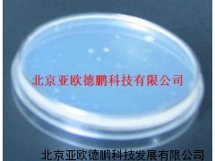 接触碟/可重复使用的接触碟