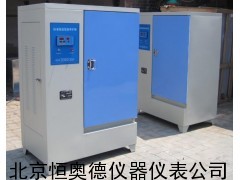 水泥标准养护箱 水泥养护箱 养护箱