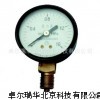 北京卓尔瑞华 Y-100普通压力表，真空表