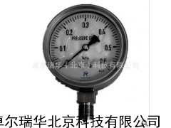 北京卓尔瑞华 YTHN-100不锈钢耐震压力表