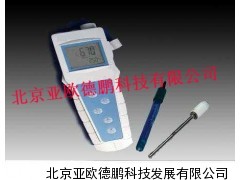 便携式pH计/便携式pH仪